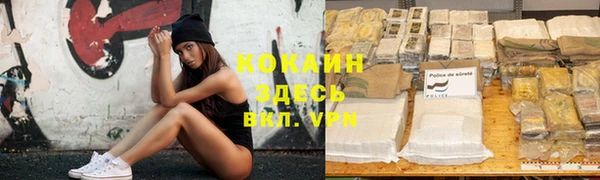 Альфа ПВП Кулебаки