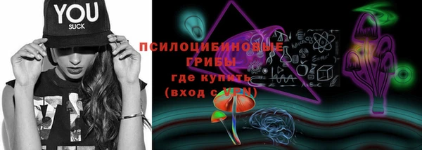Альфа ПВП Кулебаки