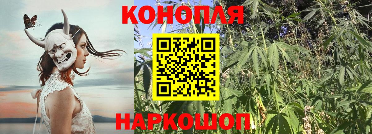 Бошки Шишки план Ухта
